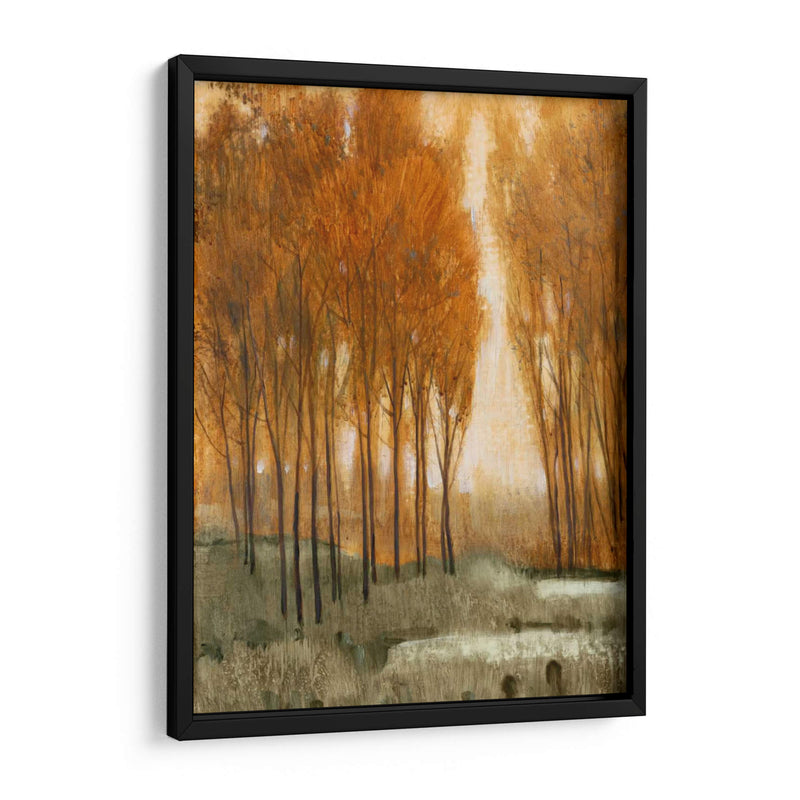 Bosque Golden Ii - Tim OToole | Cuadro decorativo de Canvas Lab