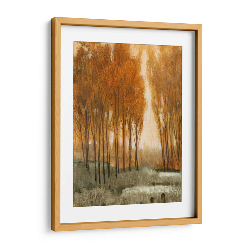 Bosque Golden Ii - Tim OToole | Cuadro decorativo de Canvas Lab