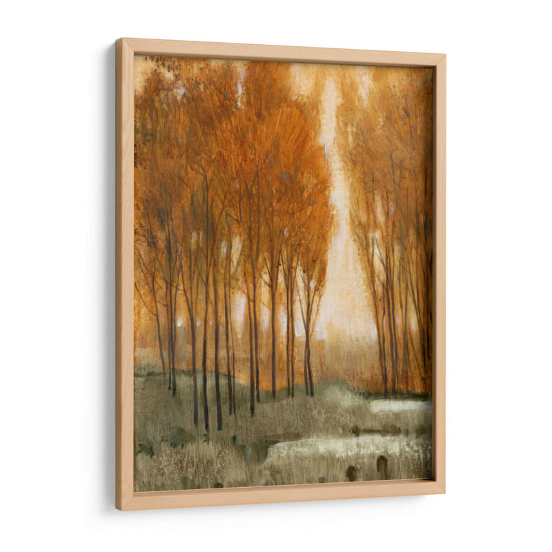 Bosque Golden Ii - Tim OToole | Cuadro decorativo de Canvas Lab