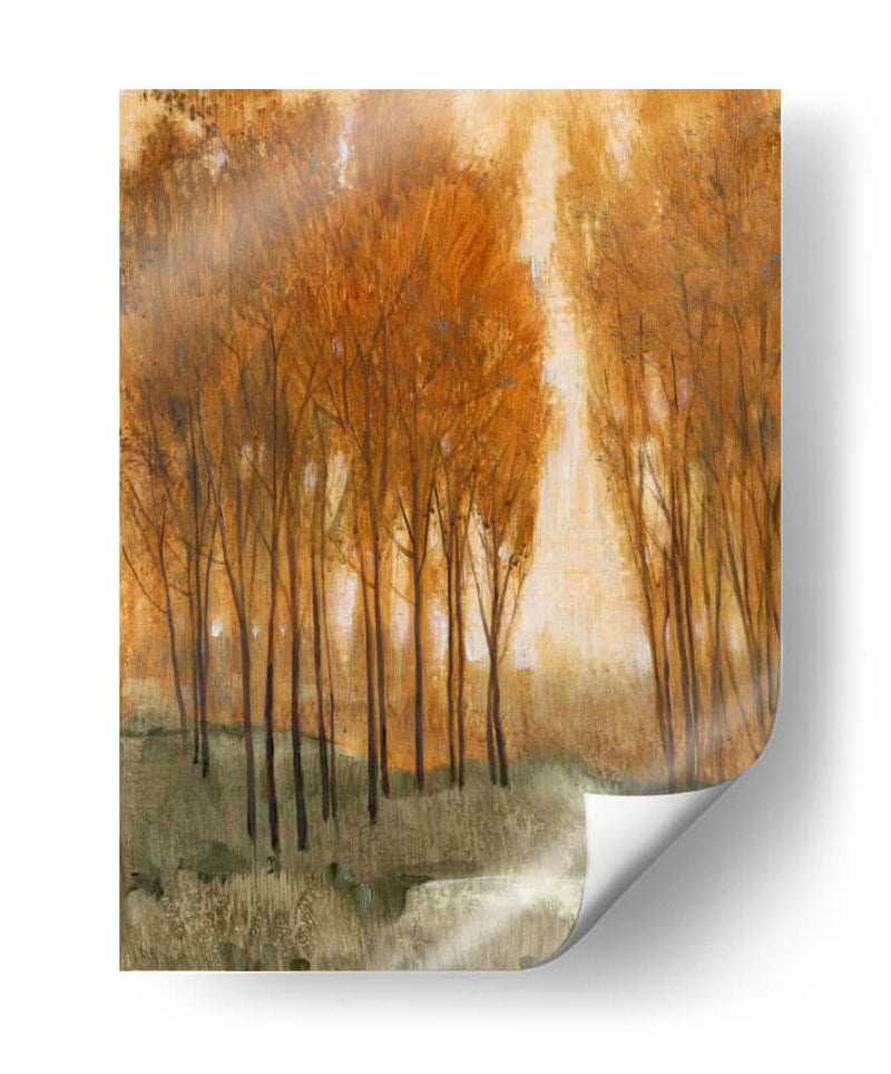 Bosque Golden Ii - Tim OToole | Cuadro decorativo de Canvas Lab