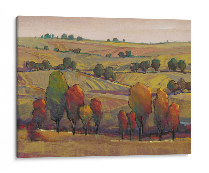 Rolling Hills I - Tim OToole | Cuadro decorativo de Canvas Lab