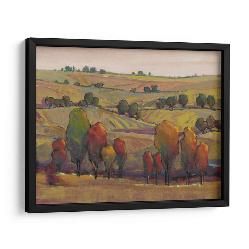 Rolling Hills I - Tim OToole | Cuadro decorativo de Canvas Lab