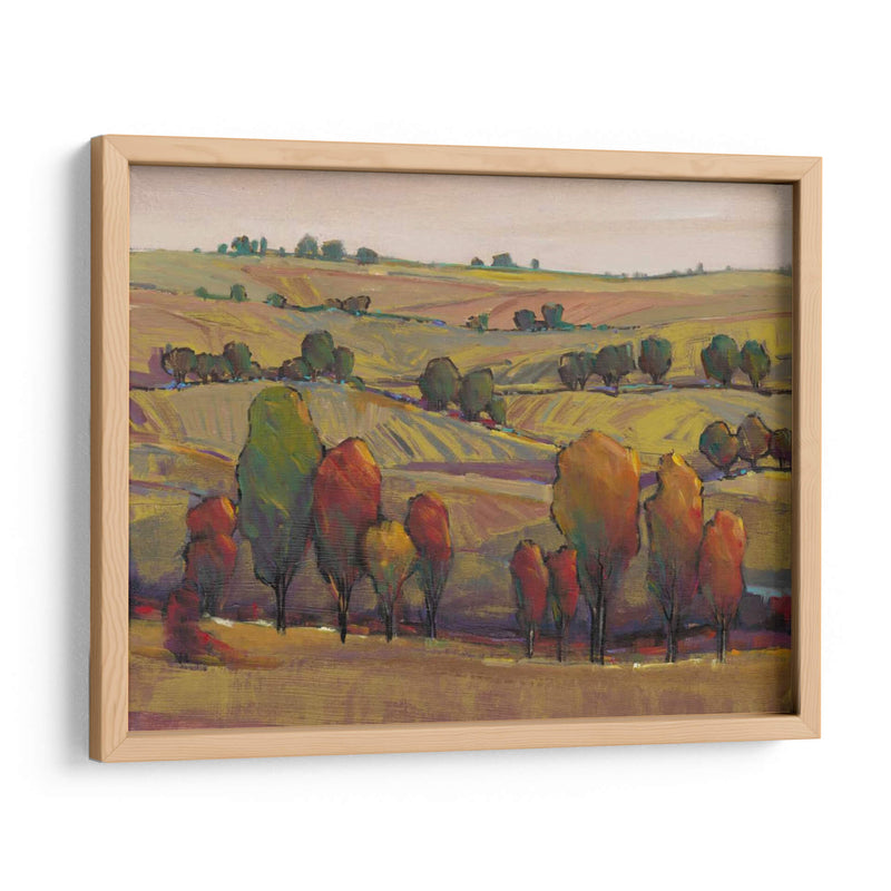 Rolling Hills I - Tim OToole | Cuadro decorativo de Canvas Lab