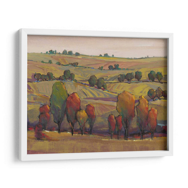 Rolling Hills I - Tim OToole | Cuadro decorativo de Canvas Lab