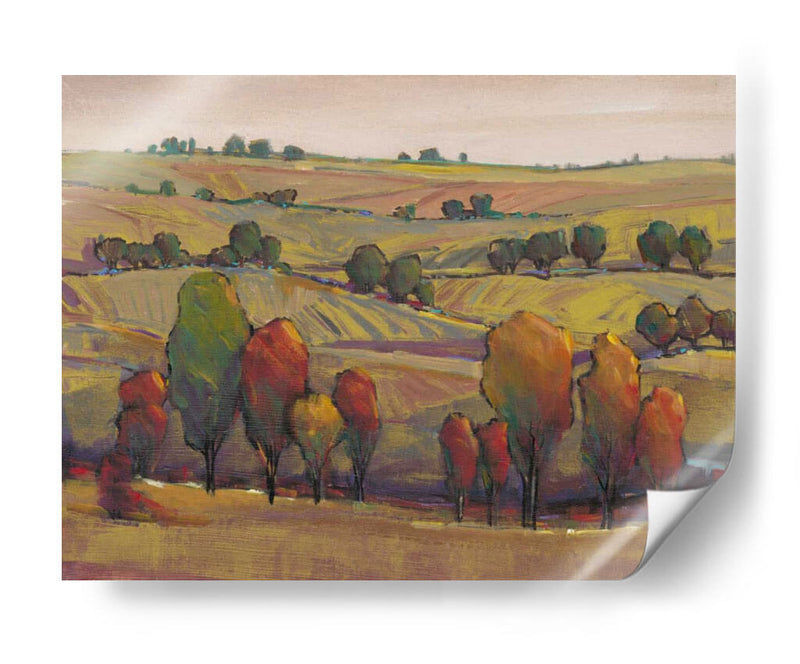 Rolling Hills I - Tim OToole | Cuadro decorativo de Canvas Lab