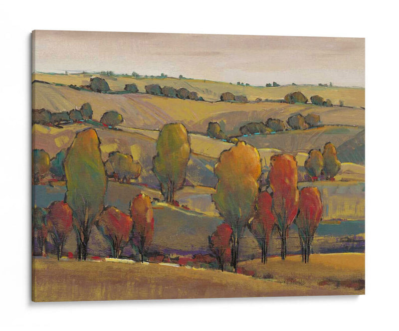 Rolling Hills Ii - Tim OToole | Cuadro decorativo de Canvas Lab