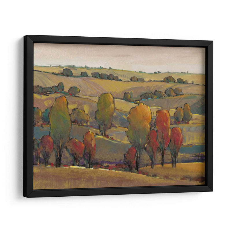 Rolling Hills Ii - Tim OToole | Cuadro decorativo de Canvas Lab