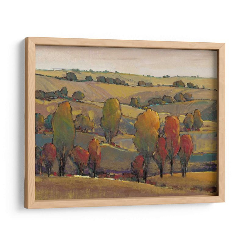 Rolling Hills Ii - Tim OToole | Cuadro decorativo de Canvas Lab