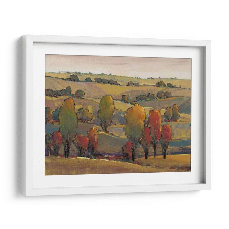 Rolling Hills Ii - Tim OToole | Cuadro decorativo de Canvas Lab