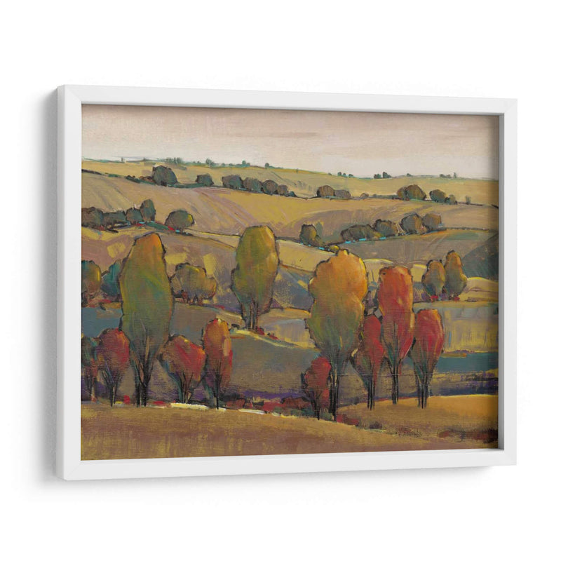 Rolling Hills Ii - Tim OToole | Cuadro decorativo de Canvas Lab