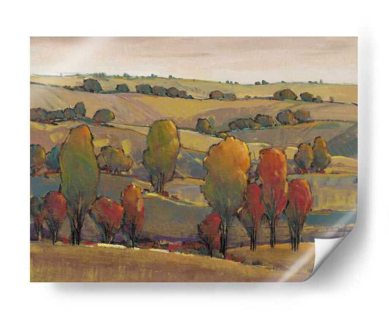 Rolling Hills Ii - Tim OToole | Cuadro decorativo de Canvas Lab