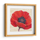 Amapola Roja I - Tim OToole | Cuadro decorativo de Canvas Lab