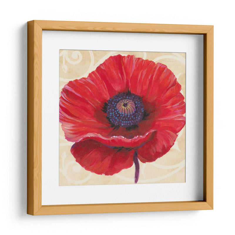 Poppy Ii Rojo - Tim OToole | Cuadro decorativo de Canvas Lab