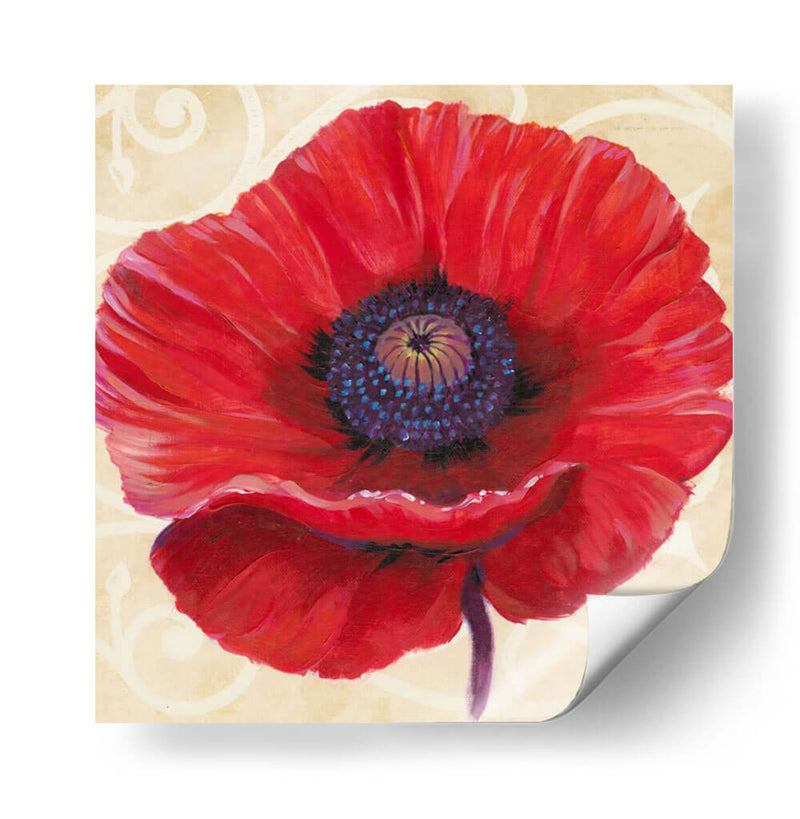 Poppy Ii Rojo - Tim OToole | Cuadro decorativo de Canvas Lab