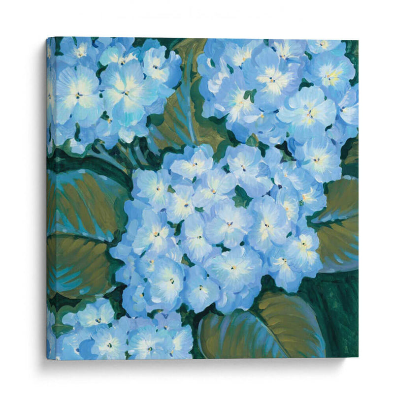 Hortensias Azules I - Tim OToole | Cuadro decorativo de Canvas Lab