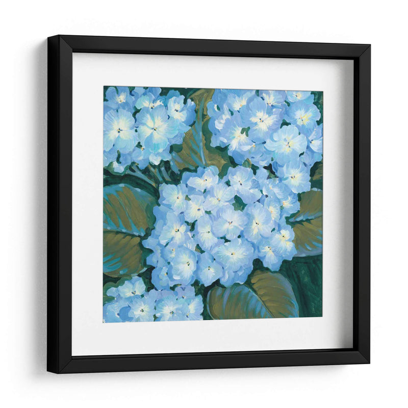 Hortensias Azules I - Tim OToole | Cuadro decorativo de Canvas Lab