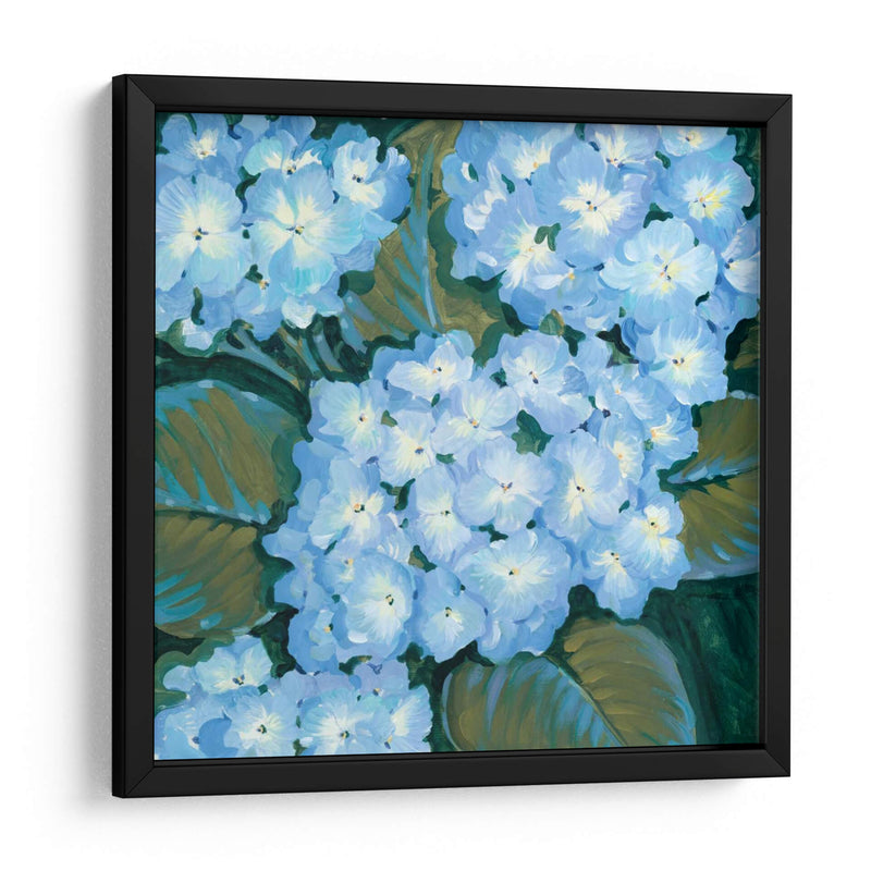 Hortensias Azules I - Tim OToole | Cuadro decorativo de Canvas Lab