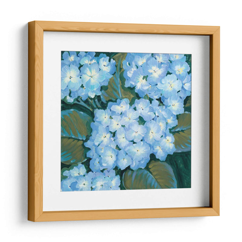 Hortensias Azules I - Tim OToole | Cuadro decorativo de Canvas Lab