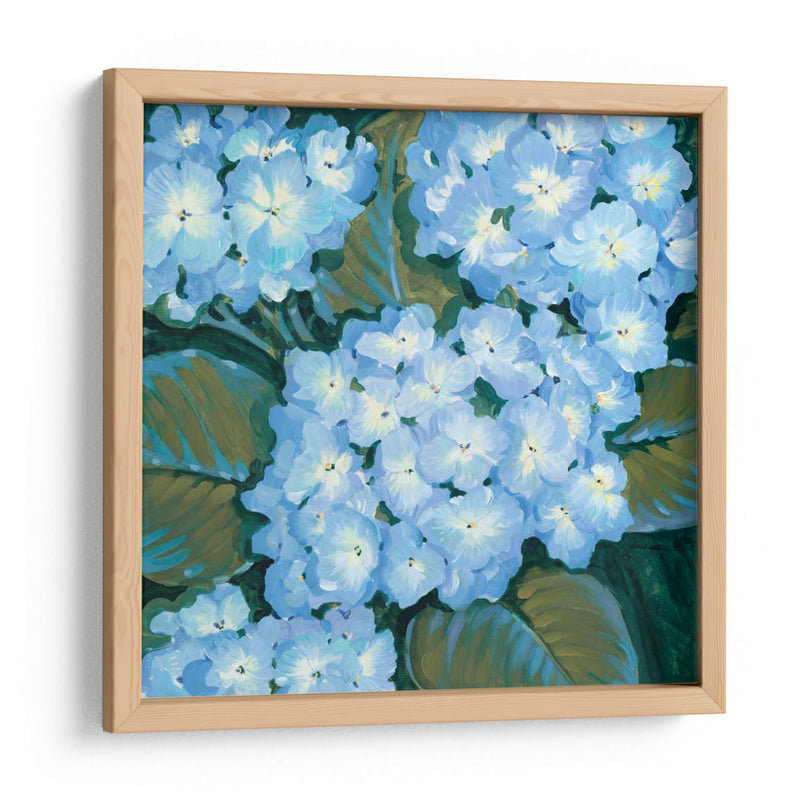 Hortensias Azules I - Tim OToole | Cuadro decorativo de Canvas Lab