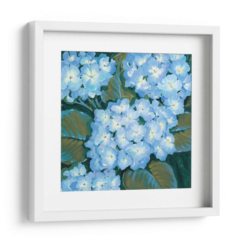 Hortensias Azules I - Tim OToole | Cuadro decorativo de Canvas Lab