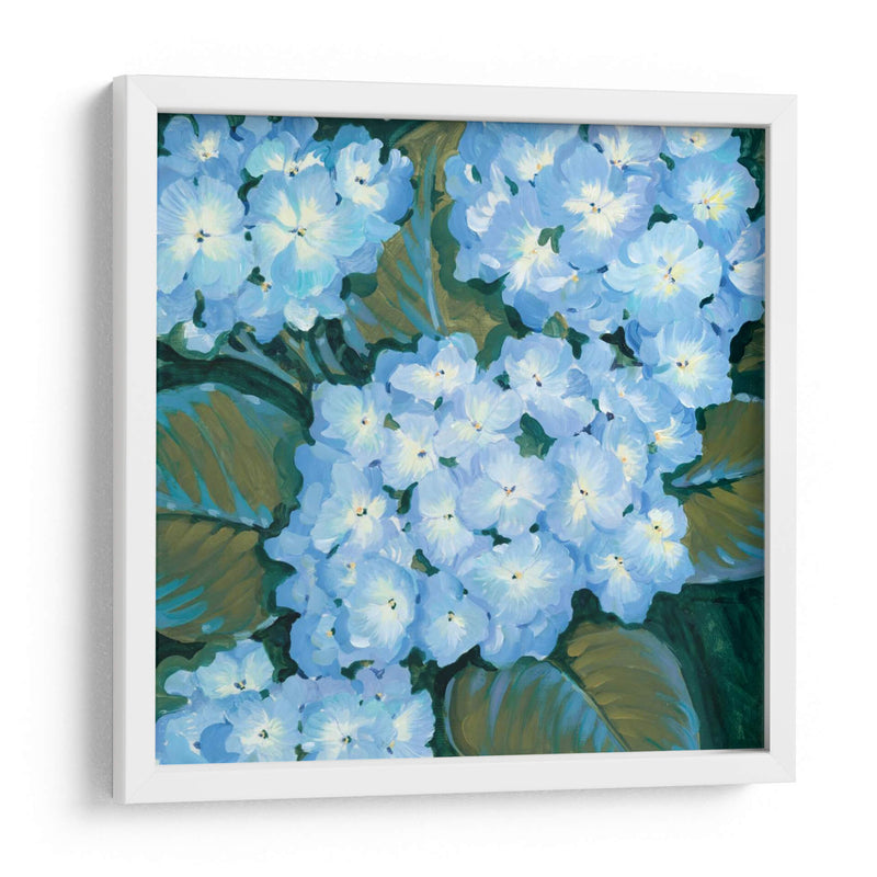 Hortensias Azules I - Tim OToole | Cuadro decorativo de Canvas Lab