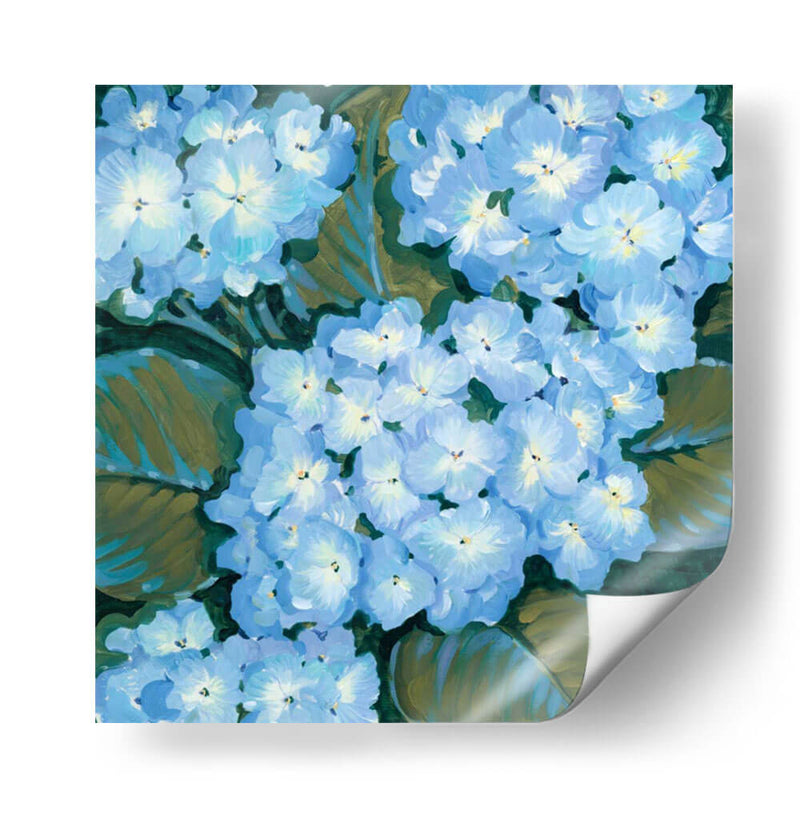 Hortensias Azules I - Tim OToole | Cuadro decorativo de Canvas Lab