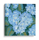 Hortensias Azules Ii - Tim OToole | Cuadro decorativo de Canvas Lab