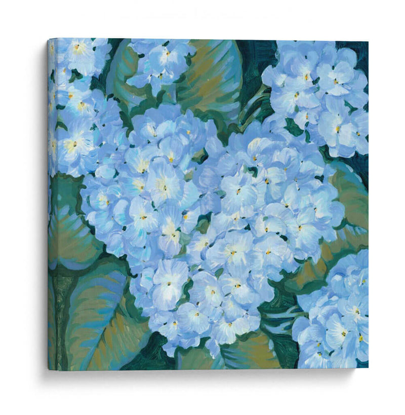 Hortensias Azules Ii - Tim OToole | Cuadro decorativo de Canvas Lab