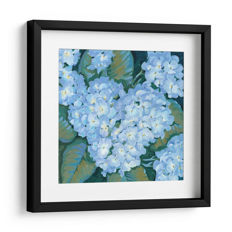 Hortensias Azules Ii - Tim OToole | Cuadro decorativo de Canvas Lab