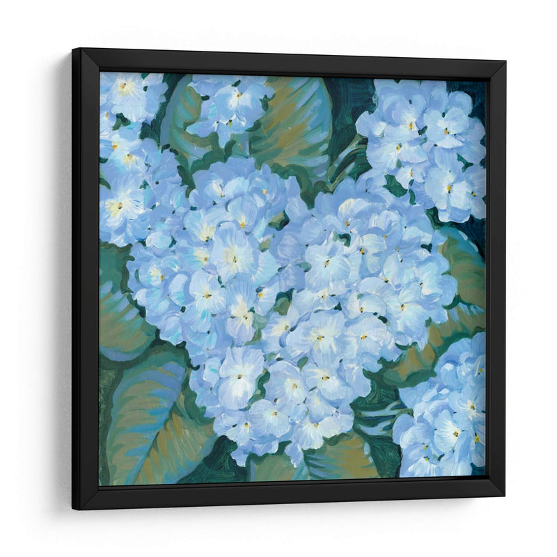 Hortensias Azules Ii - Tim OToole | Cuadro decorativo de Canvas Lab