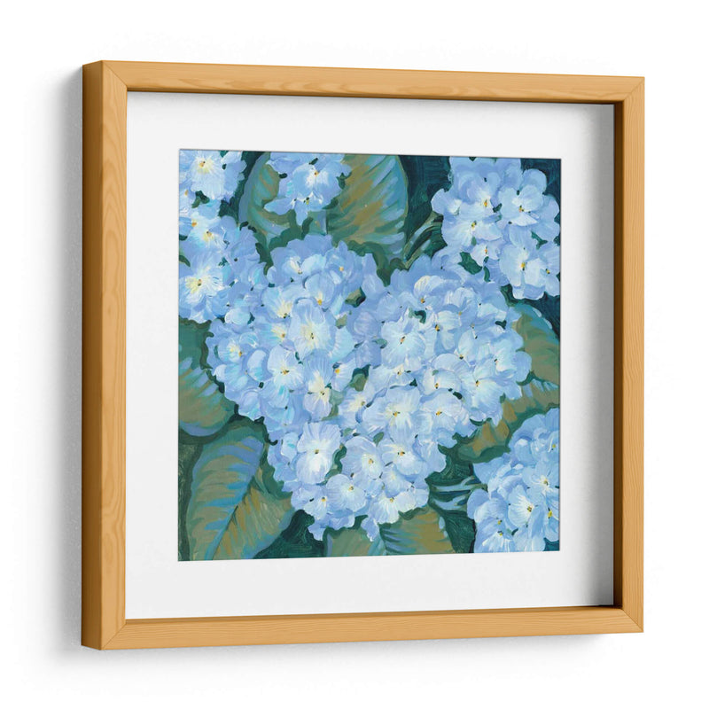 Hortensias Azules Ii - Tim OToole | Cuadro decorativo de Canvas Lab