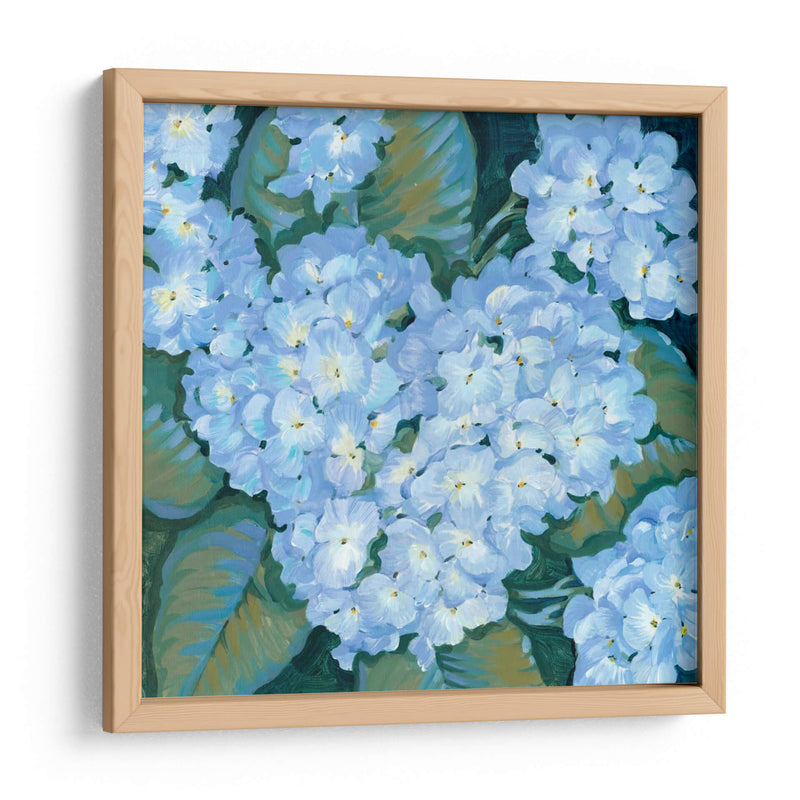 Hortensias Azules Ii - Tim OToole | Cuadro decorativo de Canvas Lab