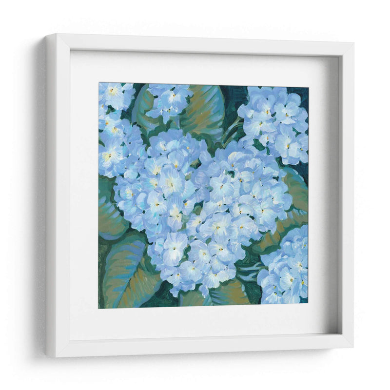 Hortensias Azules Ii - Tim OToole | Cuadro decorativo de Canvas Lab