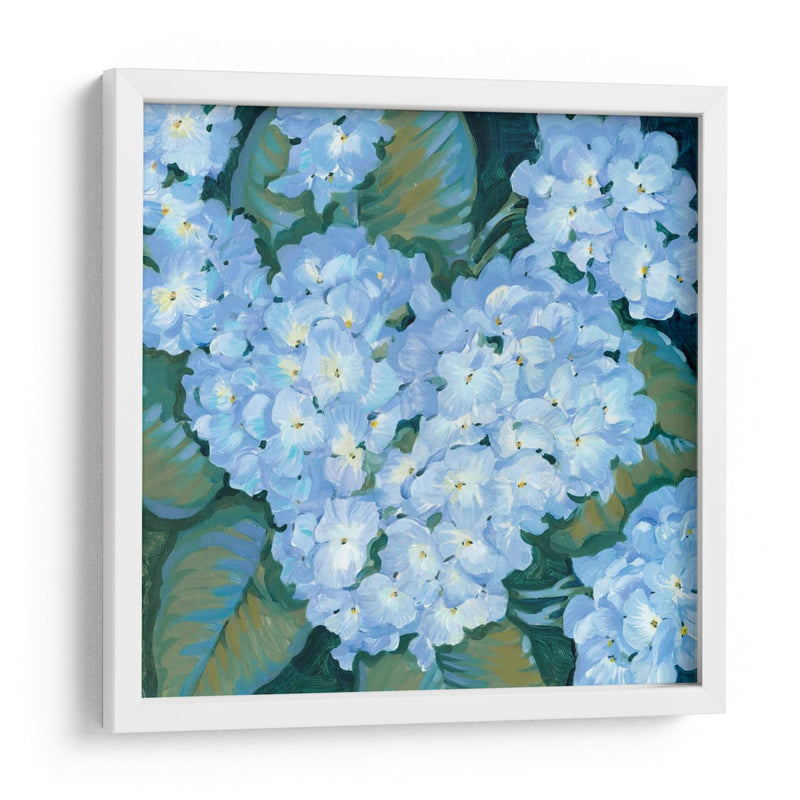 Hortensias Azules Ii - Tim OToole | Cuadro decorativo de Canvas Lab