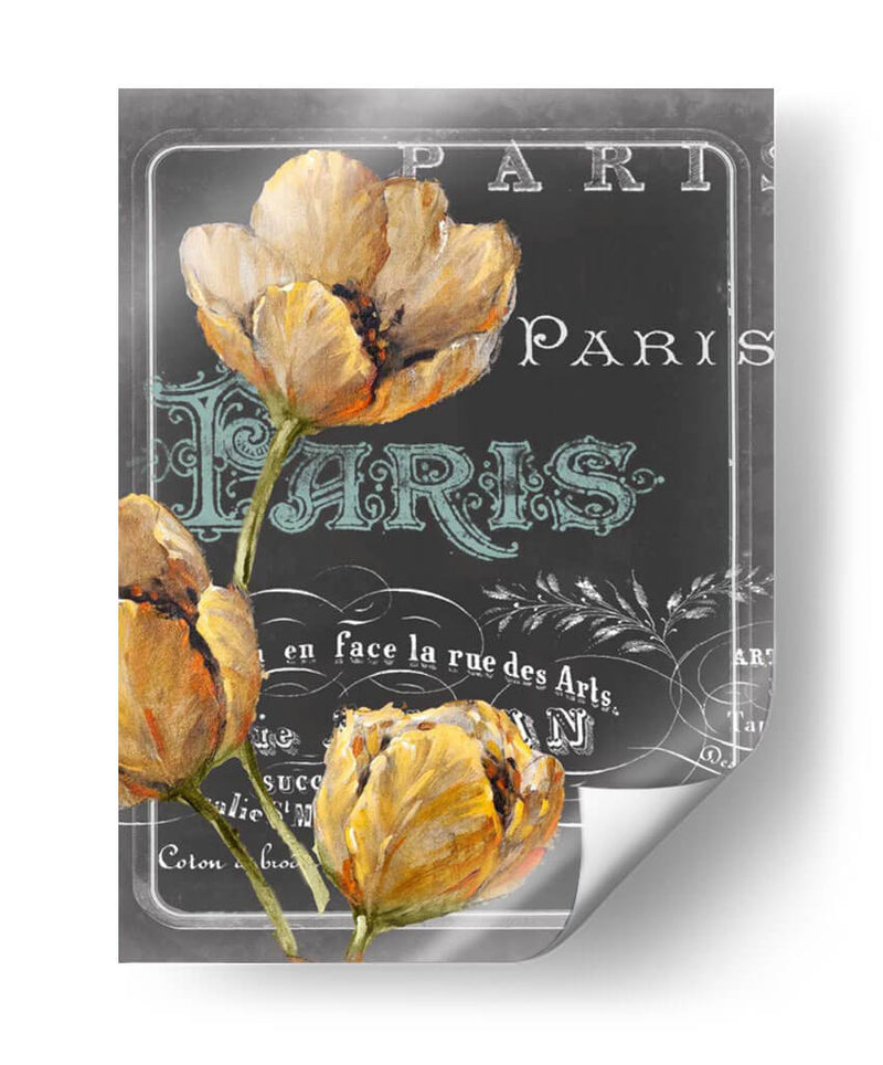 Pizarra Paris Ii - Studio W | Cuadro decorativo de Canvas Lab