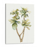 Hojas De Acuarela Tropical Iii - Megan Meagher | Cuadro decorativo de Canvas Lab