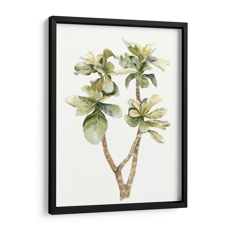 Hojas De Acuarela Tropical Iii - Megan Meagher | Cuadro decorativo de Canvas Lab