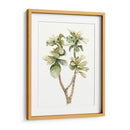 Hojas De Acuarela Tropical Iii - Megan Meagher | Cuadro decorativo de Canvas Lab