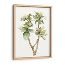 Hojas De Acuarela Tropical Iii - Megan Meagher | Cuadro decorativo de Canvas Lab