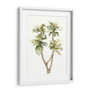 Hojas De Acuarela Tropical Iii - Megan Meagher | Cuadro decorativo de Canvas Lab