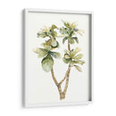 Hojas De Acuarela Tropical Iii - Megan Meagher | Cuadro decorativo de Canvas Lab