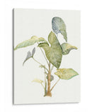 Tropical Acuarela Hojas Iv - Megan Meagher | Cuadro decorativo de Canvas Lab
