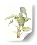 Tropical Acuarela Hojas Iv - Megan Meagher | Cuadro decorativo de Canvas Lab