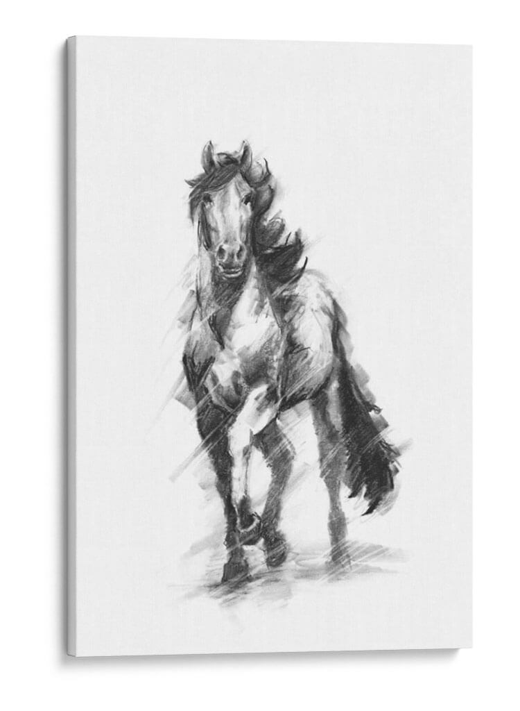 Ecuestre Dinámico I - Ethan Harper | Cuadro decorativo de Canvas Lab