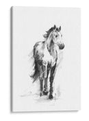 Ecuestre Dinámico Ii - Ethan Harper | Cuadro decorativo de Canvas Lab