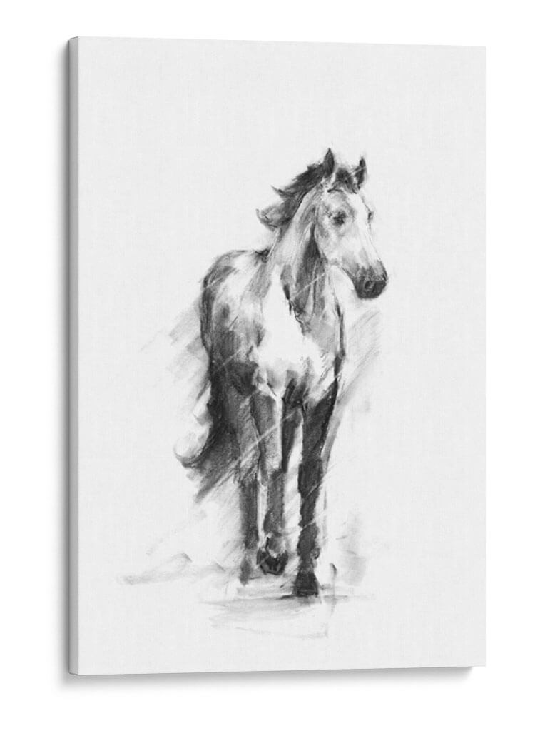 Ecuestre Dinámico Ii - Ethan Harper | Cuadro decorativo de Canvas Lab