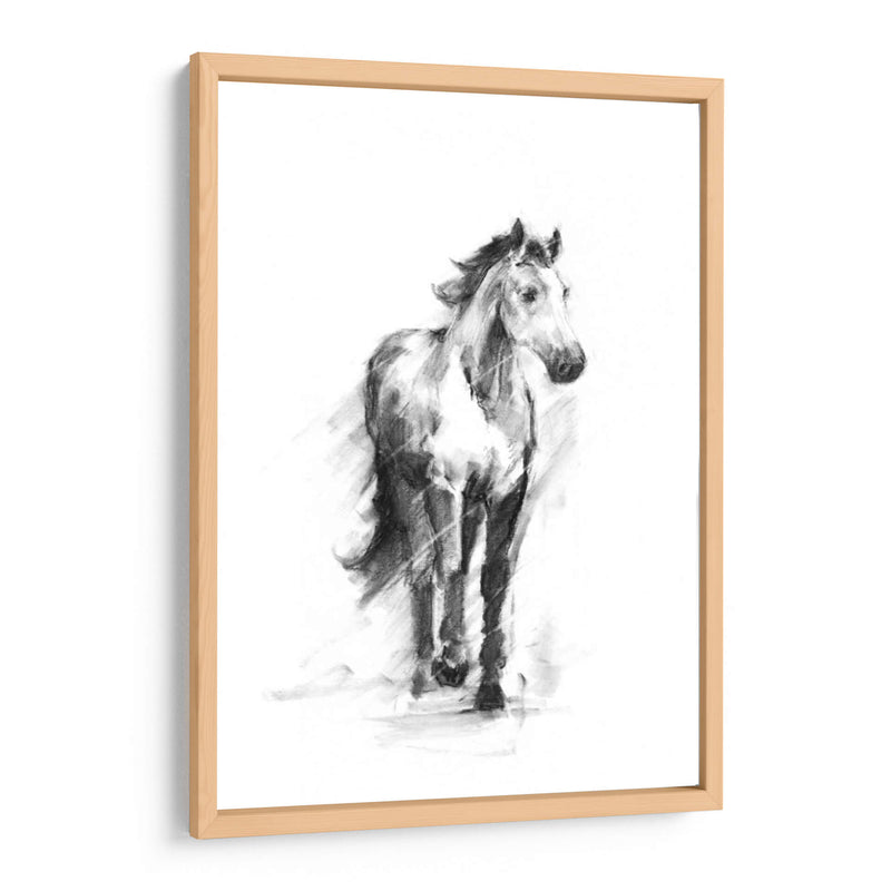 Ecuestre Dinámico Ii - Ethan Harper | Cuadro decorativo de Canvas Lab