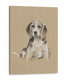 Bocetos De Raza I - Ethan Harper | Cuadro decorativo de Canvas Lab