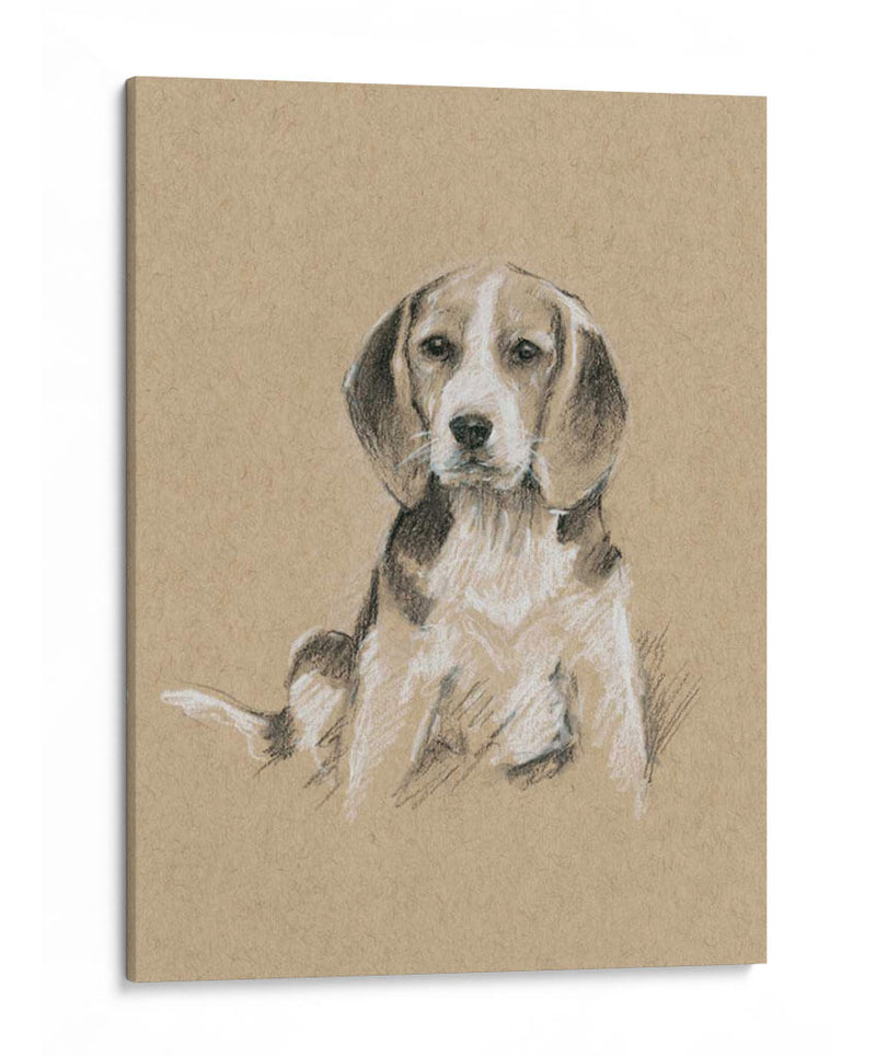 Bocetos De Raza I - Ethan Harper | Cuadro decorativo de Canvas Lab