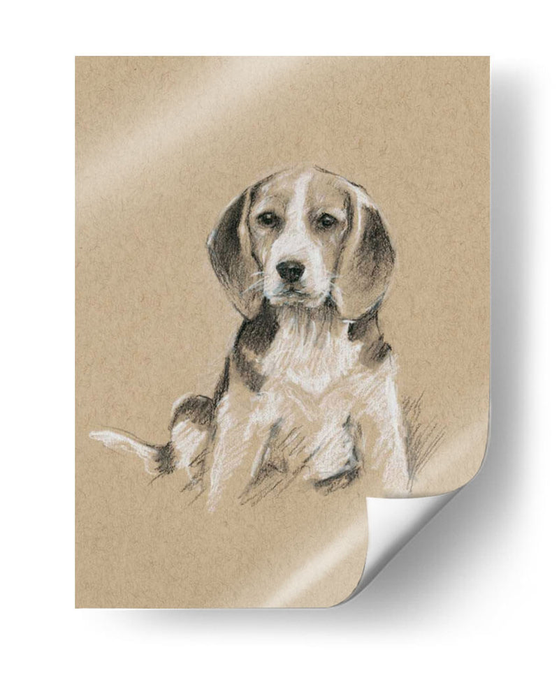 Bocetos De Raza I - Ethan Harper | Cuadro decorativo de Canvas Lab